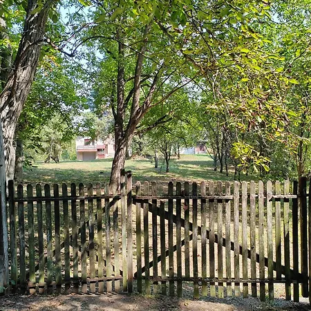 Domacinstvo Pecina *