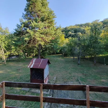 Domacinstvo Pecina * Petnica