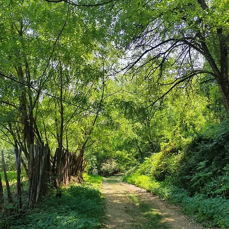 Σπίτι διακοπών Domacinstvo Pecina *