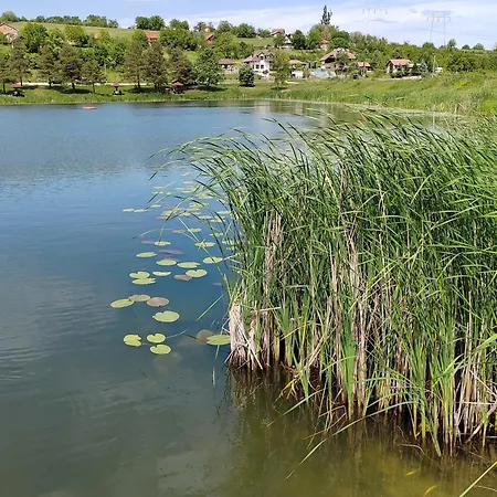 Σπίτι διακοπών Domacinstvo Pecina *