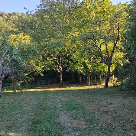 Domacinstvo Pecina