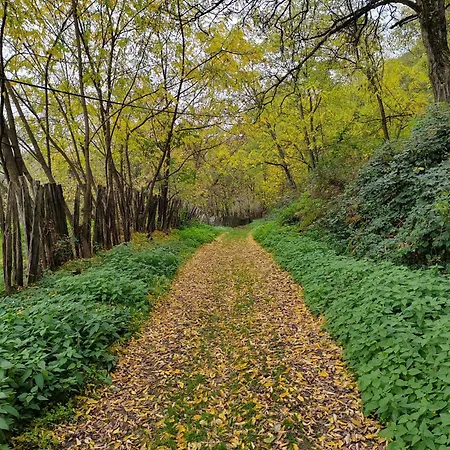 Domacinstvo Pecina Σπίτι διακοπών *
