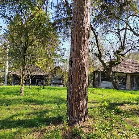 Domacinstvo Pecina * Petnj