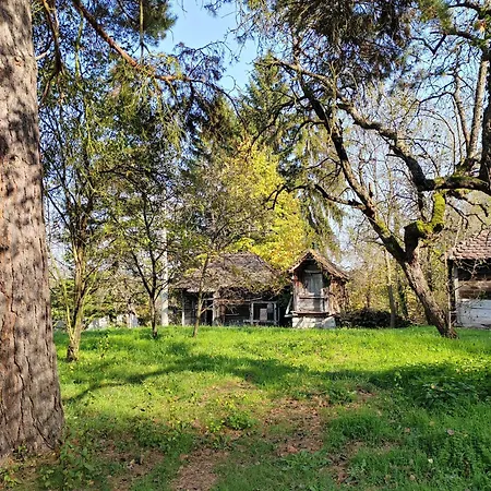 Σπίτι διακοπών Domacinstvo Pecina Petnj