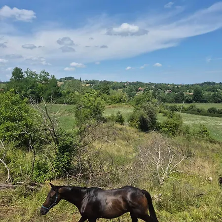 Σπίτι διακοπών Domacinstvo Pecina *